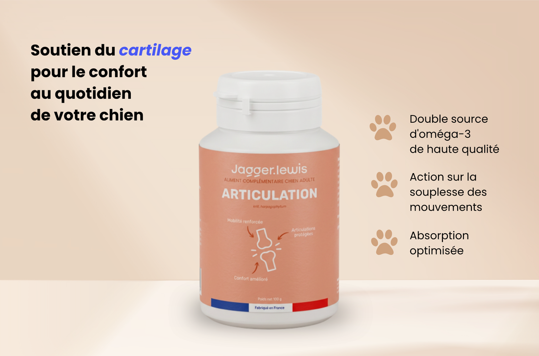 Complément articulations en poudre - Chien 