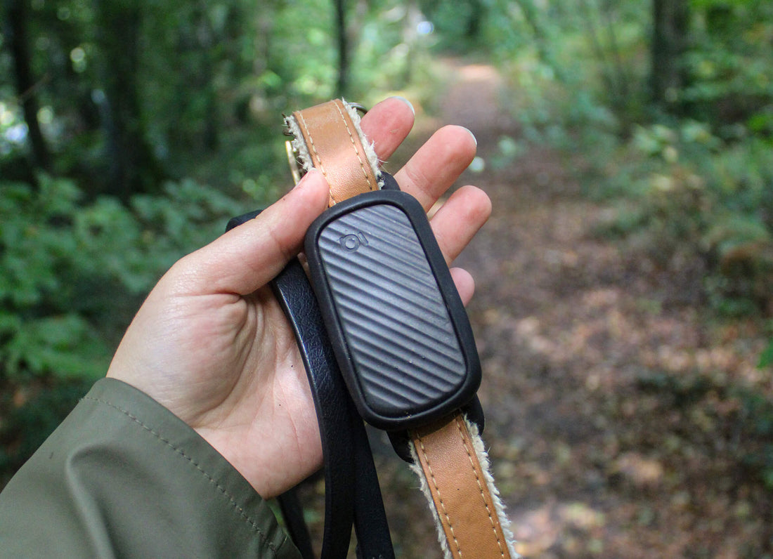 Collier GPS pour chien sans abonnement