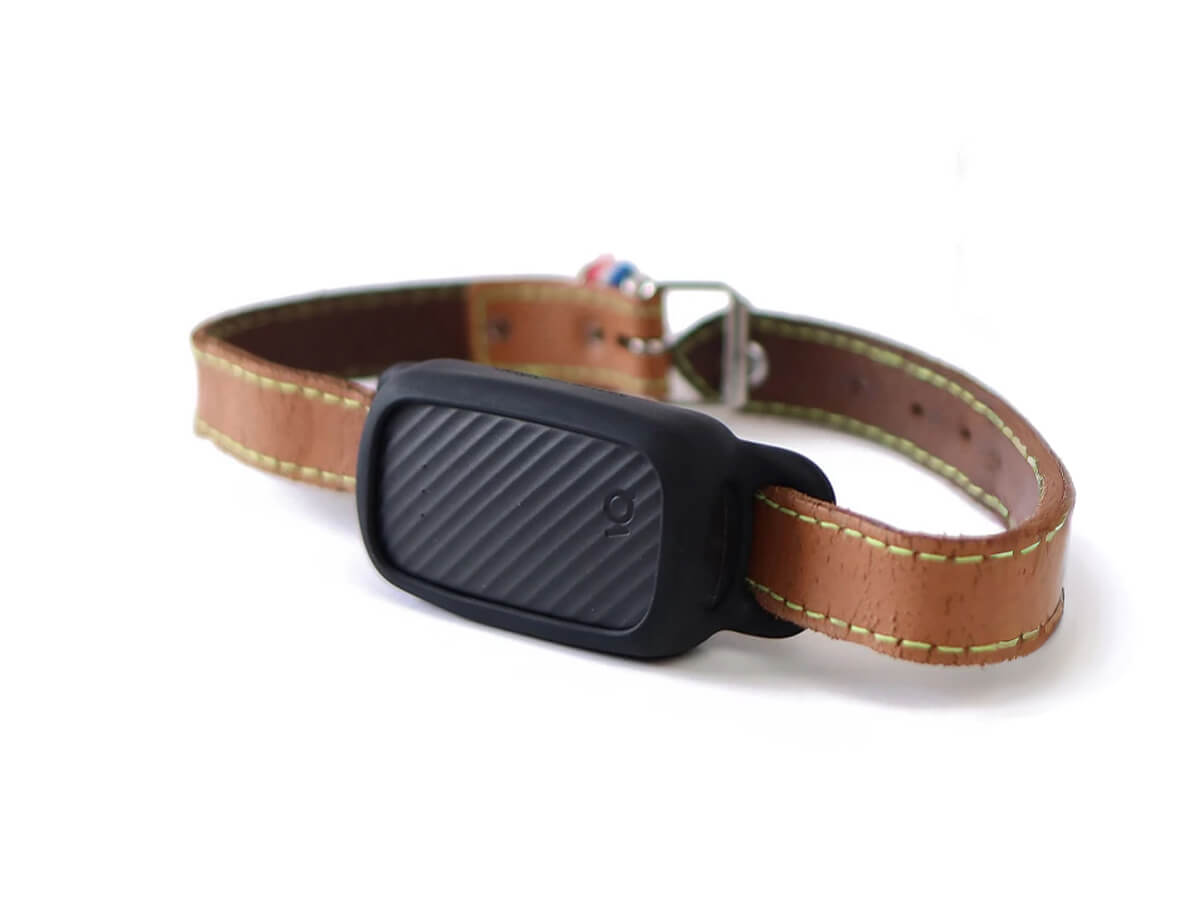 Collier GPS pour chien sans abonnement – Jagger Lewis